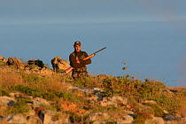 Hunter out to shoot Turtle Doves (Streptopelia turtur) and Quail (Coturnix coturnix) Malta, during BirdLife Malta Springwatch Camp, April 2013