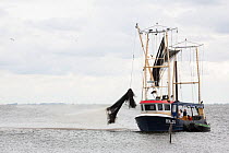 Dutch fishing vessel on the Maarkermeer cleaning its gillnets and fish traps. Afsluitdijk, The Netherlands, July