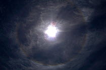 Halo around sun, Tibetan Plateau, June 2010. Halos are a sign of high thin cirrus clouds drifting 20,000 feet or more above our heads. These clouds contain millions of tiny ice crystals. The halos are...