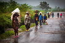 Villagers walking along a road during a heavy rain shower, Virunga National Park, North Kivu Province, Democratic Republic of the Congo, August 2010.