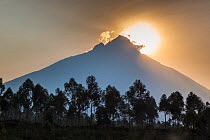 Sunrise behind Mount Mikeno, Virunga National Park, Democratic Republic of the Congo, August 2010.