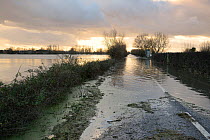 Severely flooded and closed A361 road at sunset between Burrowbridge and East Lyng across Southlake moor after weeks of heavy rain, Somerset Levels, UK, January 2013.