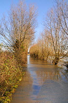 Flooded road leading to Muchelney village on the Somerset Levels, cut off in all directions after weeks of heavy rain, near Langport, UK, December 2012.