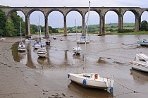 Sailing yachts moored in the River Lynher at low tide below St. Germans railway viaduct, Cornwall, UK, June 2012