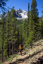 Hiker on the Boundary Trail with McGowin Peak in the background - Sawtooth Wilderness. Idaho, USA, July 2011. Model released