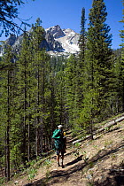 Hiker on the Boundary Trail with McGowin peak in the background - Sawtooth Wilderness. Idaho, USA, July 2011. Model released