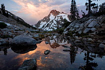 Mount Regan reflected in a small pond near Sawtooth Lake in the Sawtooth Wilderness, at dawn. Idaho, USA, July 2011