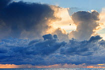 Clouds at sunset over Baltic Sea coast at Hiiumaa island. Estonia, August 2011.