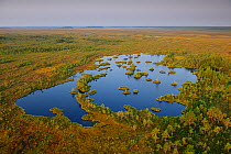 Aerial view of Muraka bog in Ida-Virumaa. Estonia, August 2011.