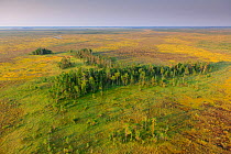 Aerial view of Muraka bog in Ida-Virumaa county, Estonia, August 2011.