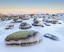 Ice covered rocks along coast of the Baltic Sea, Northern Estonia.