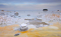 Baltic sea is freezing up along the northern coast of Estonia. Lahemaa National Park, Estonia, January 2012.