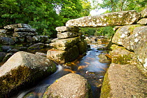 Clapper bridge made from slabs of granite crossing the River Dart at Dartmeet, Dartmoor National Park, Devon, UK.  The bridge probably dates back to medieval times and it has been rebuilt several time...