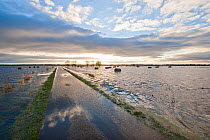 Flooded pasture, ditches and road after heavy rains, on Tadham Moor, Somerset Levels, England, December 2012
