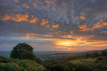 Sunset from  Mendip Hills escarpment looking westwards over Somerset Levels to Bristol Channel in far distance, England, August 2012, digital composite.