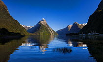 Morning light on Mitre Peak (height 1683m) reflected in the waters of Milford Sound. Milford Sound, Fiordland National Park, Southland, South Island, New Zealand, October 2006