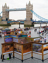 2020VISION open air exhibition at More London on the South Bank of the River Thames, with Tower Bridge in the background, London, May 2013