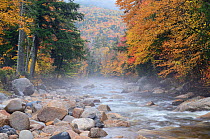 River running through misty autumn forest, White Mountain National Forest, New Hampshire. October 2012.