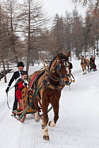 During the annual Schlitteda, an ancient tradition, couples drive their Franches-Montagnes (Freiberger) horse through the Engadin valley, in the Grisons ( Graubunden), near Saint Moritz, in Switzerlan...