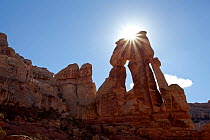 'Druid Arch' rock formation in the Needles District. Canyonlands National Park, Utah, October 2012.