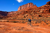 Mountain bikers between Airport and Gooseberry along the White Rim Road in the Island In The Sky District. Canyonlands National Park, Utah, October 2012. Model released.