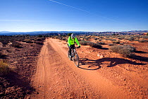 Mountain biker near White Crack along the White Rim Road in the Island In The Sky District. Canyonlands National Park, Utah, October 2012. Model released.