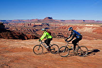 UT00304..UTAH - Mountain biker between White Crack and Murphy Basin on the White Rim Road in the Island In The Sky District of. Canyonlands National Park, Utah, October 2012. Model released.