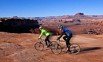 Mountain bikers between White Crack and Murphy Basin on the White Rim Road in the Island In The Sky District. Canyonlands National Park, Utah, October 2012. Model released. Digitally blurred.