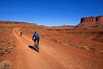 Mountain bikers between White Crack and Murphy Basin on the White Rim Road in the Island In The Sky District. Canyonlands National Park, Utah, October 2012. Model released.