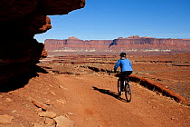 Mountain biker descending Murphy Hogback along the White Rim Road in the Island In The Sky District. Canyonlands National Park, Utah, October 2012. Model released.