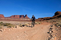 Mountain biker near Potato Bottom along the White Rim Road in the Island In The Sky District. Canyonlands National Park, Utah, October 2012.