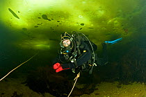Scuba diver under ice, Arctic circle Dive Center, White Sea, Karelia, northern Russia March 2010