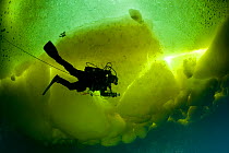 Scuba diver under ice and ice formation, Arctic circle Dive Center, White Sea, Karelia, northern Russia March 2010. No release available.