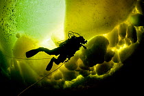 Scuba diver under ice and ice formation, Arctic circle Dive Center, White Sea, Karelia, northern Russia March 2010