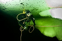 Scuba diver under, Arctic circle Dive Center, White Sea, Karelia, northern Russia, March 2010