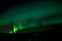 Northern Lights / Aurora borealis, Arctic circle Dive Center, White Sea, Karelia, northern Russia, March 2010