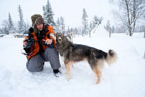 Guest interacting with Siberian Husky used as sled dog inside Riisitunturi National Park, Lapland, Finland