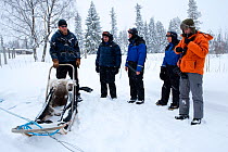 Lauri, a guide for sled dogs excursions, explaining the use of the sledge to tourists, inside Riisitunturi National Park, Lapland, Finland