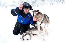Photography Franco Banfi playing with Siberian Husky dogs used as sled dog inside Riisitunturi National Park, Lapland, Finland
