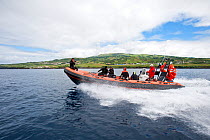 Divers on zodiac travelling to diving place, Pico Island, Azores, Portugal, Atlantic Ocean