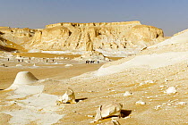 People trekking with Dromedary camels (Camelus dromedarius) through chalk rock formations created by sandstorms, White desert, Sahara, Egypt, February 2009