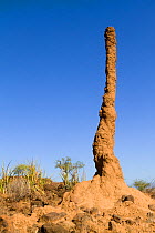 Tall Termite mound near Lake Bogoria, Kenya