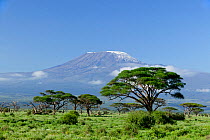 Mount Kilimanjaro from Amboseli National Park, Kenya, May 2005