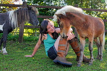 Girl stroking American miniature horse (Equus caballus) foal as a mare looks on, Wiltshire, UK, July. Model released.
