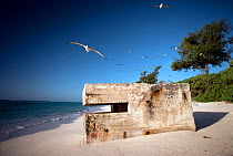 World War 2 pillbox built for the defense of Midway atoll against Japanese forces, Eastern Island. Midway, Central Pacific.