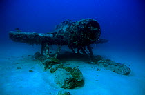 Wreck of Japanese Aichi E13A Reconnassance float plane (Allied code name: 'Jake' ) Shortland Islands, Solomon Islands, July 2012
