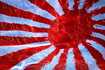 Japanese 'Rising Sun' Flag underwater.