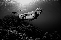 Sara Campbell, World free diving champion, Blue Hole, Egypt, Red Sea, August 2011