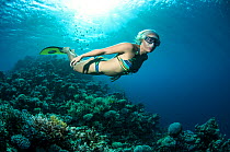Sara Campbell, World free diving champion, Blue Hole, Egypt, Red Sea, August 2011