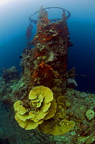 Funnel and corals on the wreck of the Japanese war wreck - 'Kasi Maru'. Bairoko Harbour. Solomon Islands. November 2008